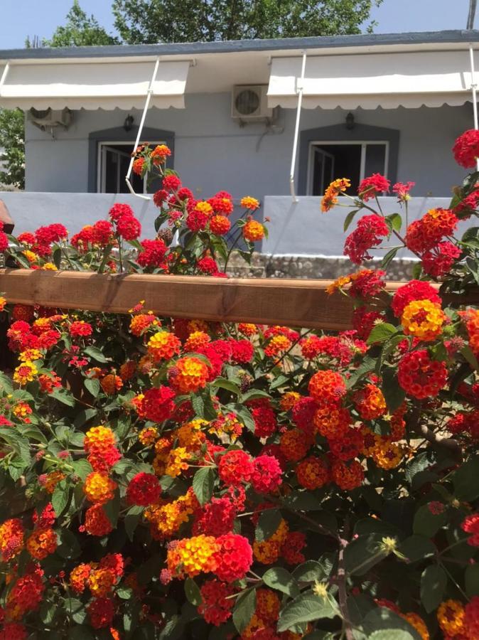 Villa Praljan Borş Dış mekan fotoğraf